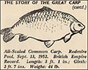 The Story of The Great Carp